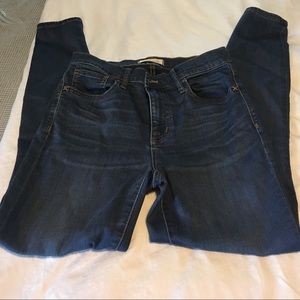 Madewell roadtripper Jeans